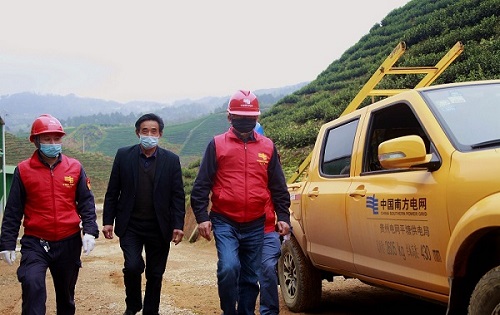 平塘供電局：“加減法”同構(gòu)服務(wù)，護航“貴州春茶第一壺”