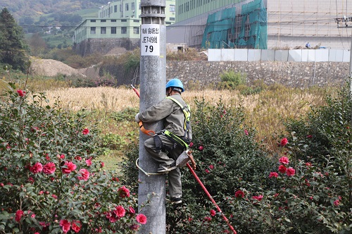 國網寧波市鄞州區(qū)供電公司柱上開關退保護，為供電可靠性架起橋梁