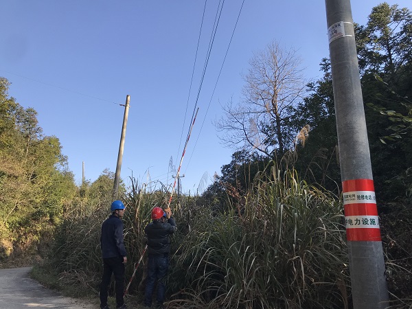國網(wǎng)南豐縣供電公司：為電桿穿上“防撞衣”，確保交通安全