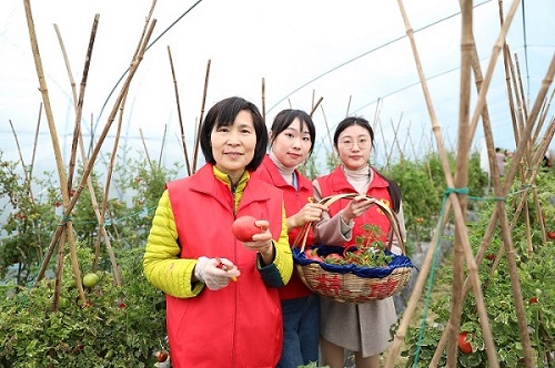 國網(wǎng)寧波市鄞州區(qū)供電公司：人大代表變身主播，“寧波媽媽“帶貨助農(nóng)