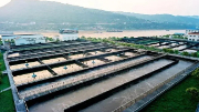 不用燒、不用填 生物處理技術(shù)出手，垃圾成資源