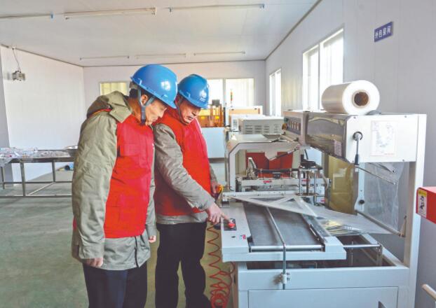 濱?？h供電公司：白首烏產業(yè)發(fā)展充上“滿格電”
