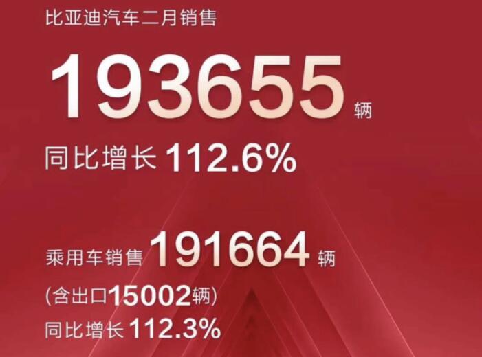 2月新能源車(chē)企成績(jī)單出爐，比亞迪一騎絕塵