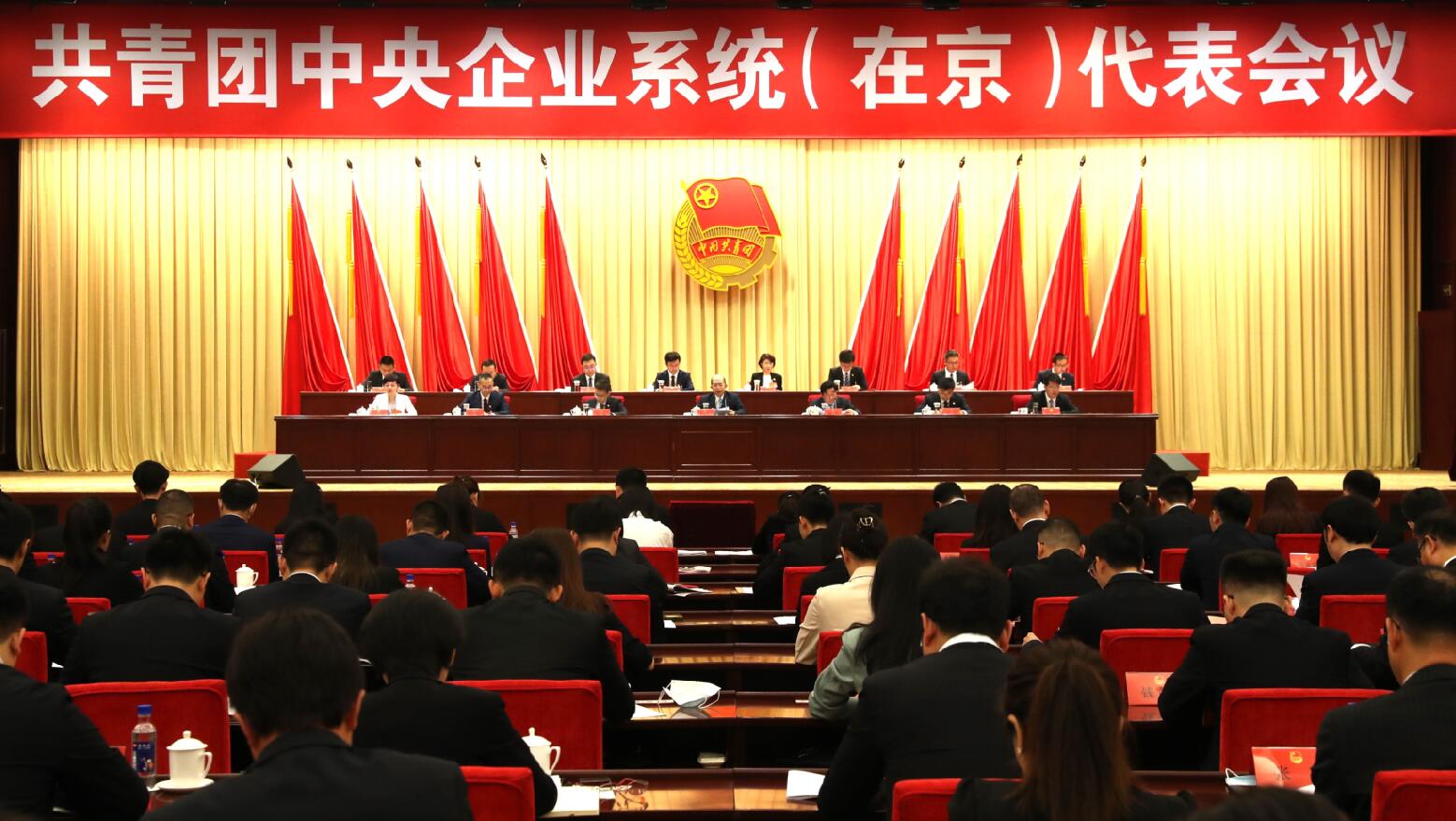 共青團(tuán)中央企業(yè)系統(tǒng)(在京)代表會(huì)議在京召開(kāi)