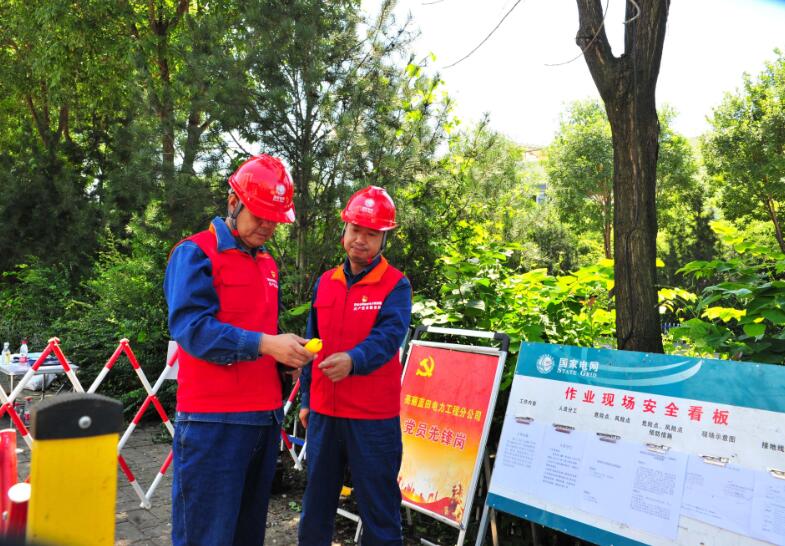 國網藍田縣供電公司黨建+優(yōu)質服務 護航鄉(xiāng)村振興產業(yè)發(fā)展