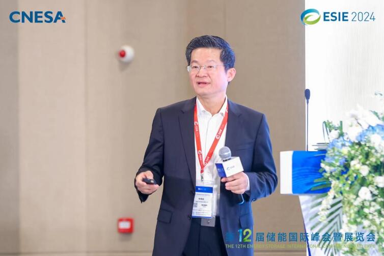 林澤波：儲能企業(yè)出海不是價(jià)格競爭，而是以定制優(yōu)質(zhì)產(chǎn)品和服務(wù)實(shí)現(xiàn)可持續(xù)發(fā)展