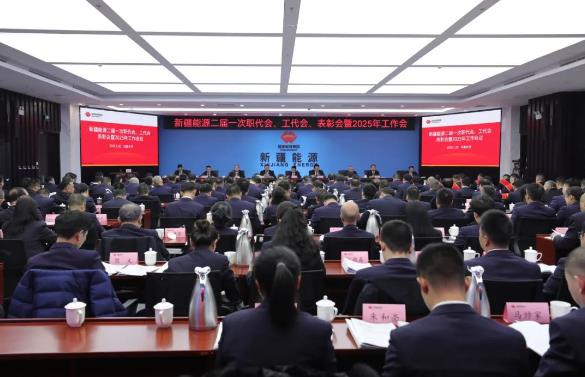 國能新疆能源召開二屆一次職代會、工代會、表彰會暨2025年工作會