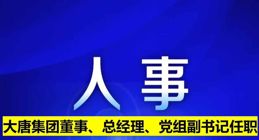 大唐集團(tuán)董事、總經(jīng)理、黨組副書記任職